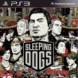 Sleeping Dogs